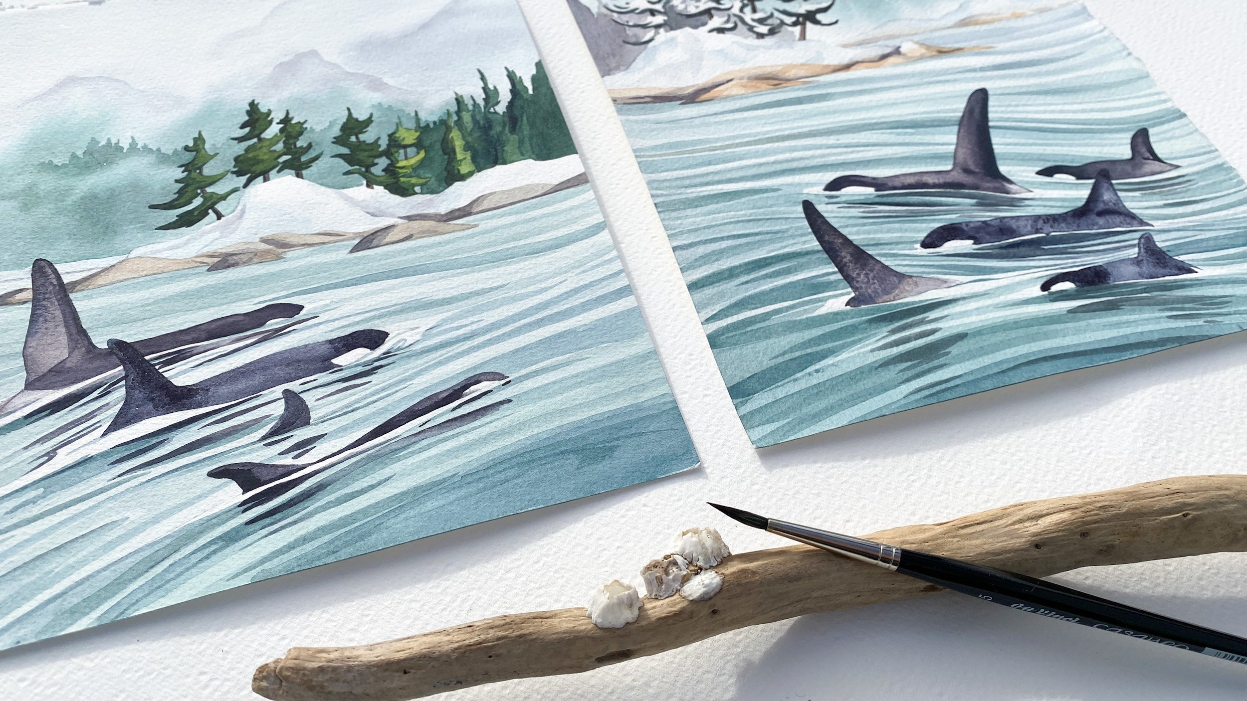 Orca West Coast Watercolour Painting by Andrea England-3.jpg